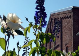 Bauerngarten und Scheune