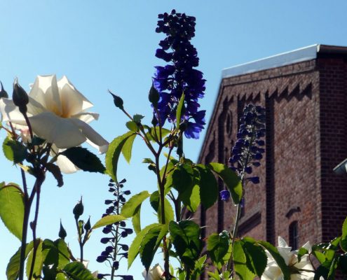 Bauerngarten und Scheune